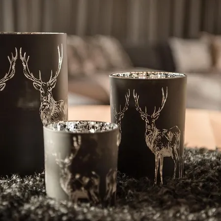 Appartement Mountain Kirchberg By Managers *