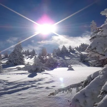 Mountain Kirchberg *